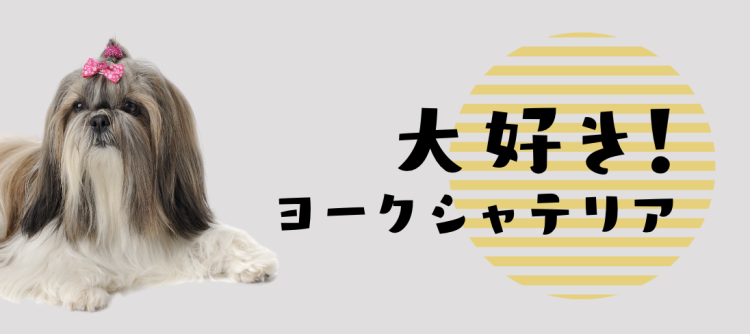 カワイイがいっぱい！ワンダーランド